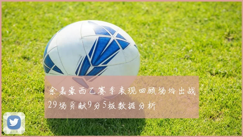 余嘉豪西乙赛季表现回顾场均出战29场贡献9分5板数据分析