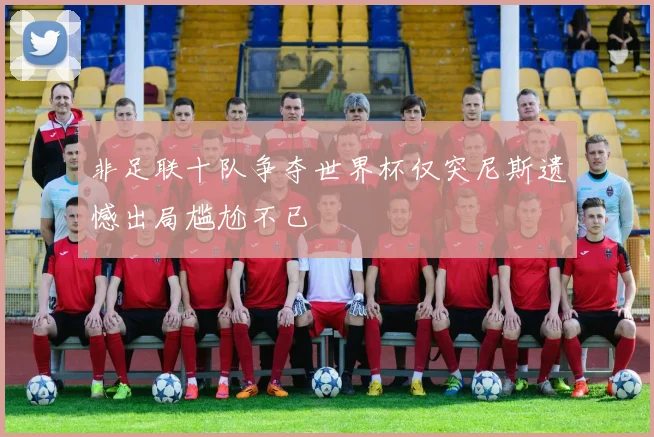 非足联十队争夺世界杯仅突尼斯遗憾出局尴尬不已