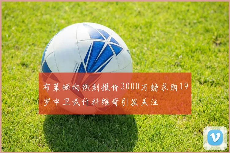 布莱顿向热刺报价3000万镑求购19岁中卫武什科维奇引发关注